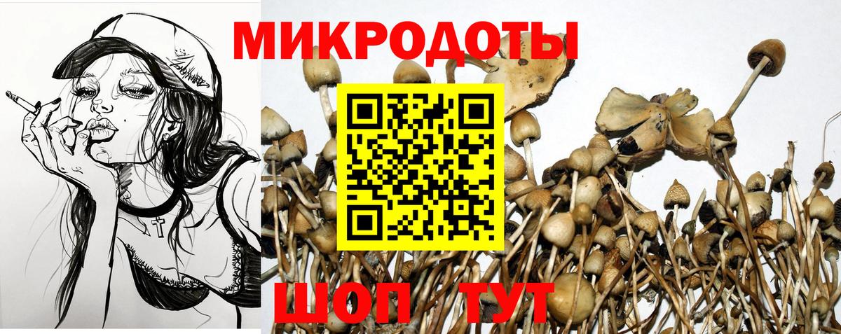 Галлюциногенные грибы Magic Shrooms Стрежевой